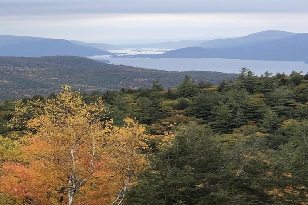 Prospect Mt Drive